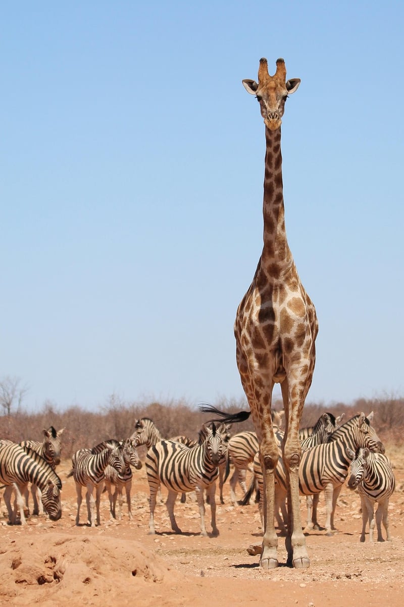 Kruger National Park
